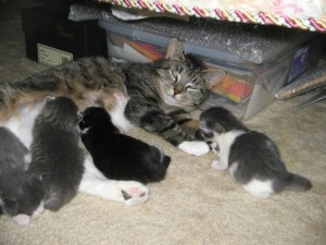 Carrie Nursing Her Babies