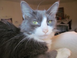 Missy One Week Before She Passed Away