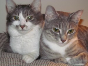 Lovey and Lily Together Again