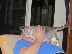 Lily loved to jump up on her Daddy's chest to be petted and adored